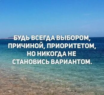 Выбор сделать не легко