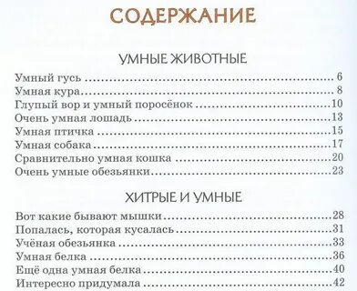 Содержание умный