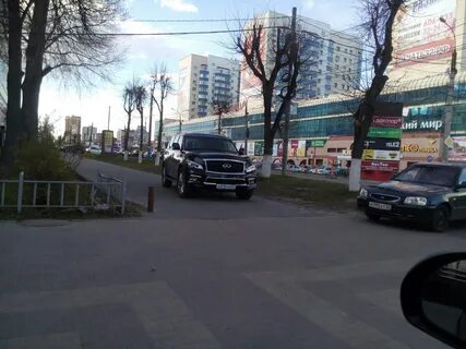Леопица