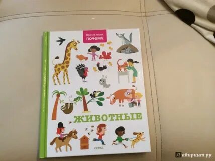Сказки почему звери