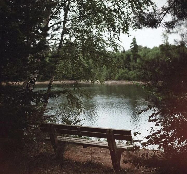 Тихо реки текут. Скамейка у реки. тихий пруд. скамейка у воды. дождь на озере.