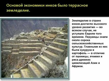 Цивилизация перевод с латинского