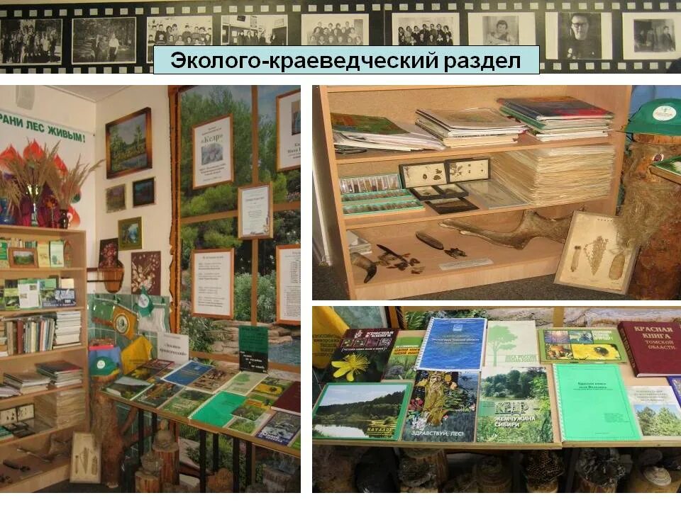 разделы краеведения