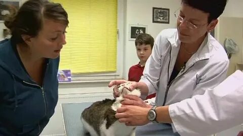 Helen is a vet use