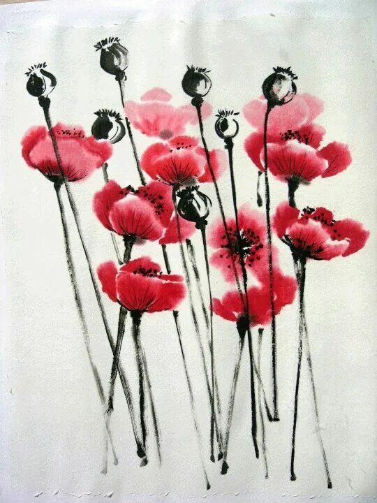 Мак цветок. Мак в китае. Мак декоративный многолетний. Китайская художница danhui nai. Мак декоративный.