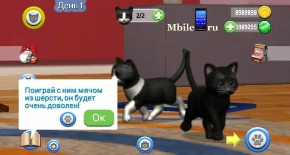 кот взламывает. игры кэт симулятор. кошачьи игры. кэтс игра. взломанная версия симулятор кота.