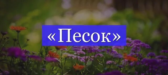 Запах слов. Рассвет слово. Рассвет словарное слово. Пахнешь слово. Воняет текст