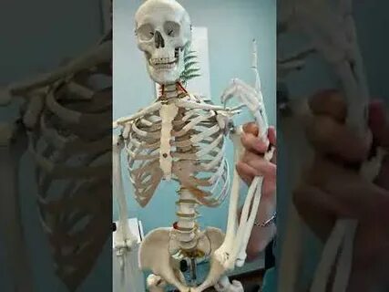 Атлант видео