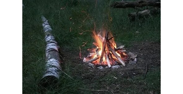 Ранняя осень ярко зажигаются сверкают костры. Ранняя осень ярко зажигаются сверкают костры. Живой костер. Костер светит. Октябрь лес рябина.