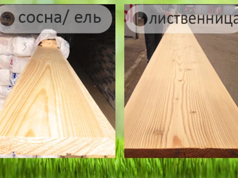 Доска ель или сосна. Лиственница от сосны. Доска ель или сосна. Сосна кедр лиственница. Доска обрезная 40х150х6000 лиственница.