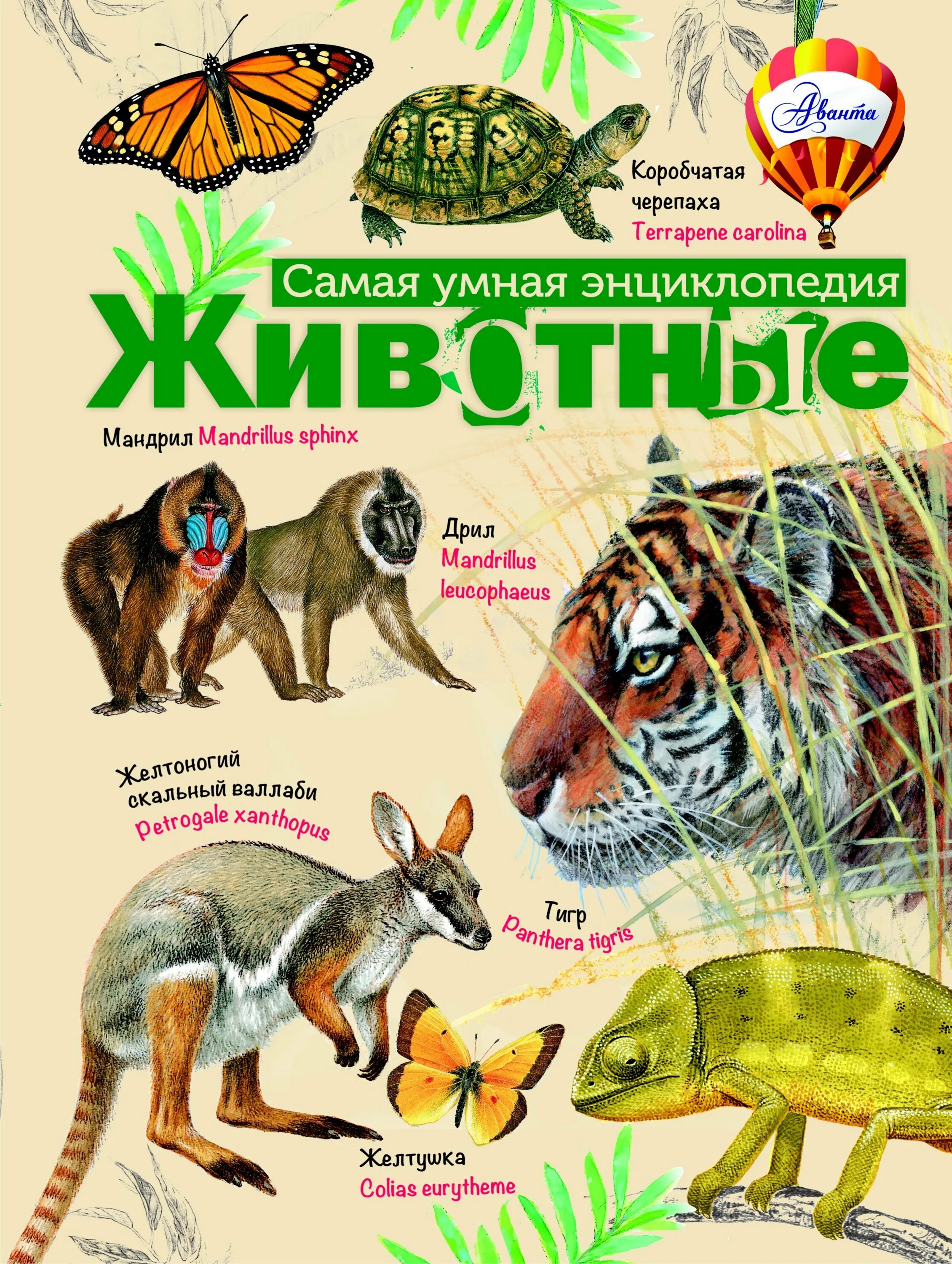 Книги о животных. Книга животные. животные. энциклопедия. энциклопедия животных для детей.