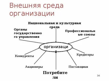 Охарактеризовать внешнюю среду организации