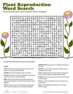 Plant Reproduction Worksheet Answers.