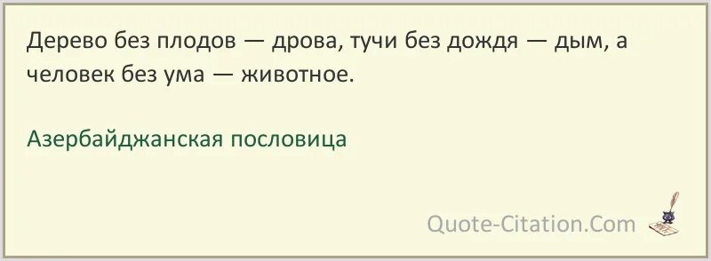 Пословица дерево в плодах. Азербайджанские пословицы. Азербайджанские поговорки. Пословицы Азербайджана. Азербайджанские пословицы и поговорки.