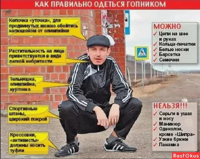 Адидас олимпийка гопник. Гопник афоризмы. Гопник с пакетом. Шапочка гопника. Кепка восьмиклинка burberry.