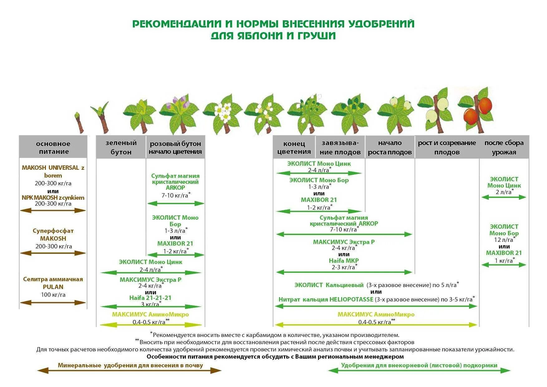 Чем подкормить черешню во время цветения. Схема внесения удобрений для плодовых деревьев и кустарников. Схема удобрения яблонь. Удобрение яблонь весной схема. Схема подкормки яблони по месяцам.