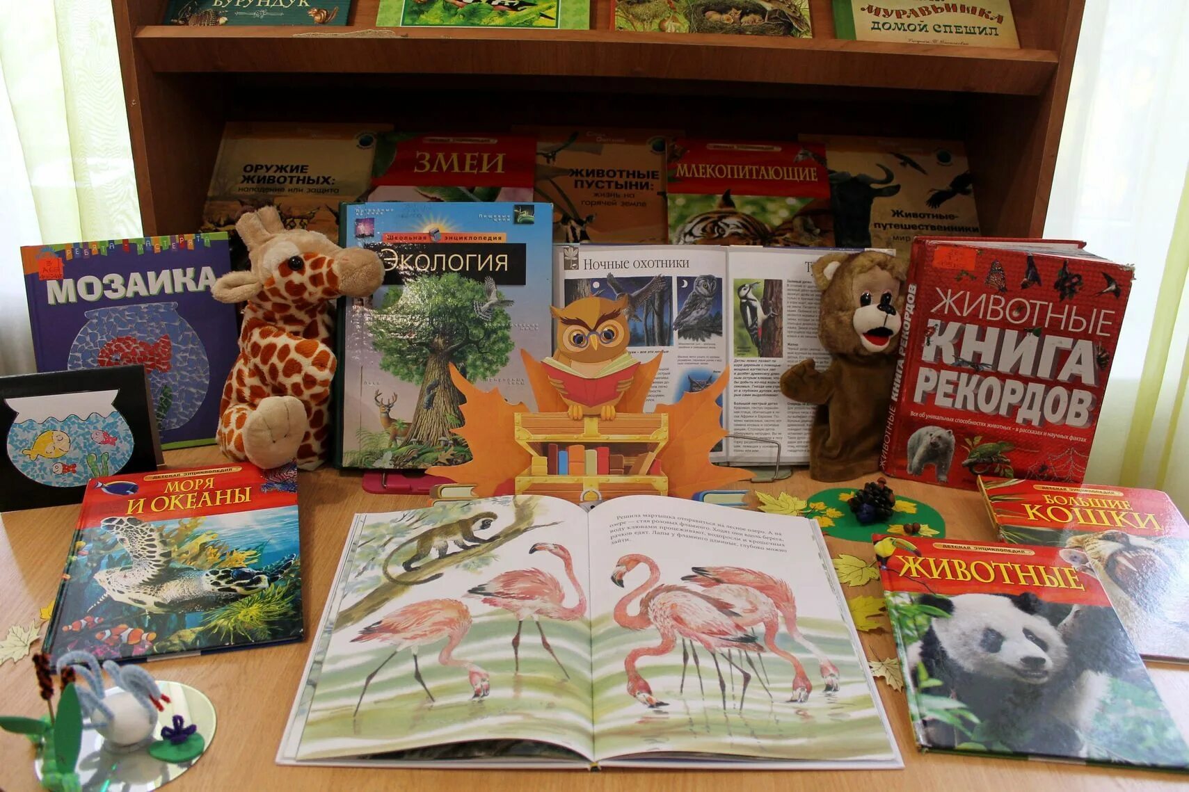 День информации в детской библиотеке. День информации книжная выставка. выставка в библиотеке ко дню информации. день информации в библиотеке. день информации в библиотеке название.