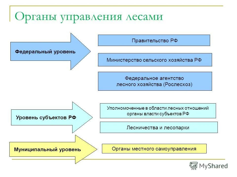 Уровень субъекта рф это. Рослесхоз структура. Структура управления лесным хозяйством. Органы управления в области лесных отношений. Органы управления лесами федерального уровня.