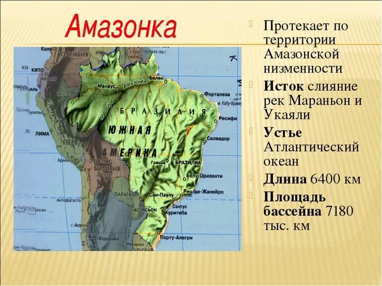 Тип устья амазонки