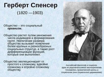 Общества з