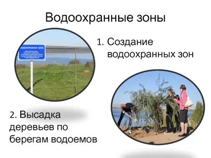 Управление водоохранных зон
