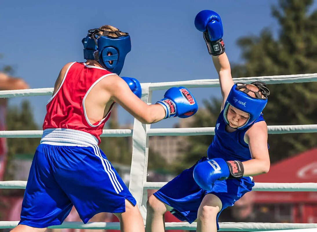 женский бокс 3d. девушка бокс 3d. флотен сан бокс. боксы get-san. моды на мелан сан бокс.