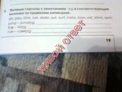 Запишите элементы в соответствующие столбцы