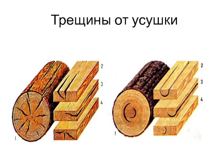 Отлуп это