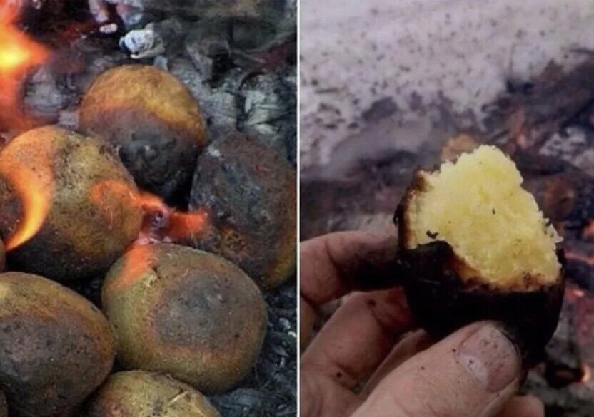 Печеная картошка на костре. Печеный картофель на костре. Запеченная картошка в костре. Печеная картошка в углях.