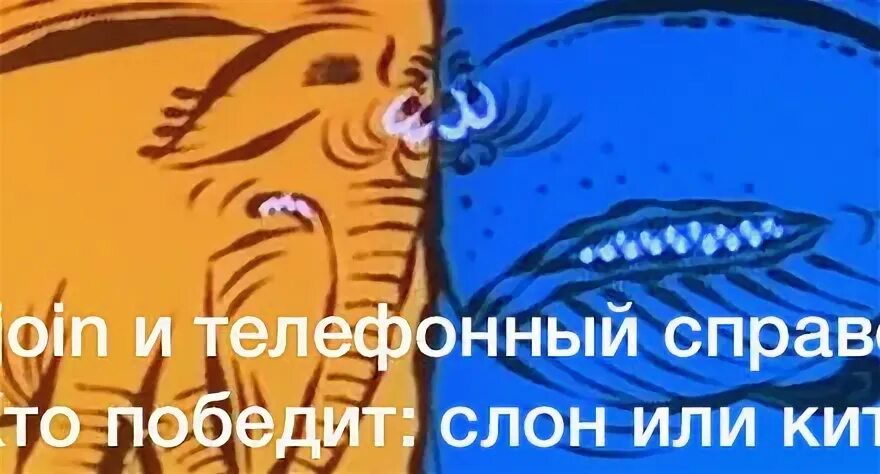 Кто сильнее слон или кит. Великая битва слона с китом 1992. Слон или кит. Великая битва слона с китом 1992. Великая битва слона с китом 1992.