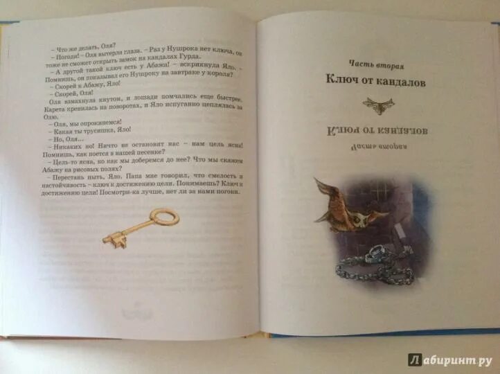 Сколько страниц в книге королевство кривых. Сколько страниц в книге королевство кривых