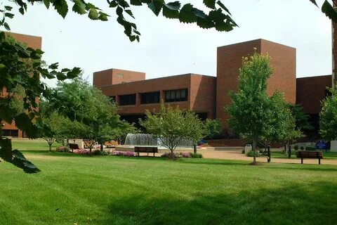 Large school