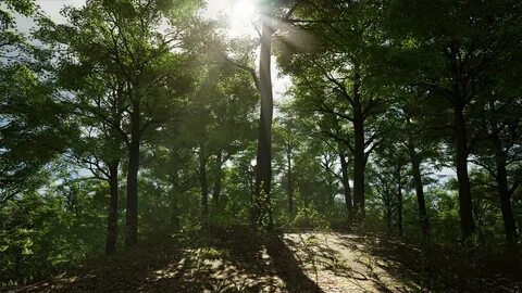 Unreal engine дерево