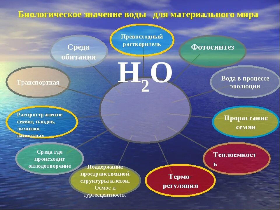 Значение воды. Значение воды в природе и жизни человека. Биологическая роль воды. Важность воды в природе. Направление использование вод