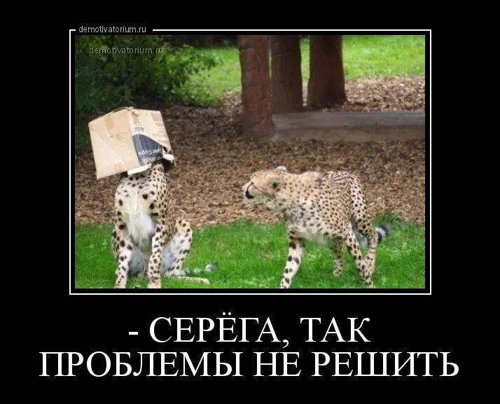 Проблемы давят