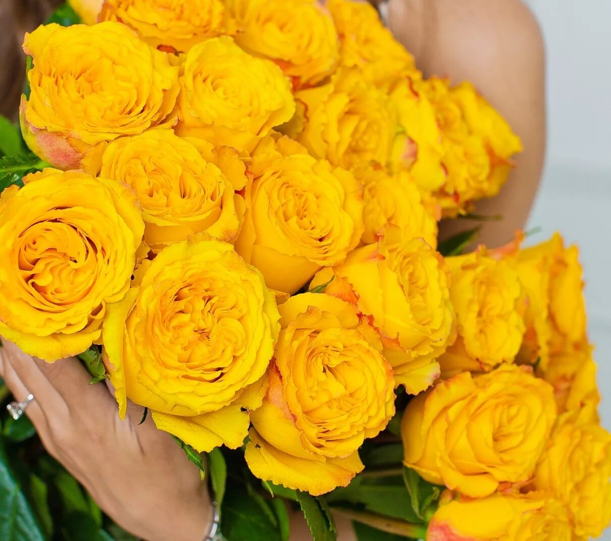 Огромные желтые букеты. Желтые розы Эквадор.