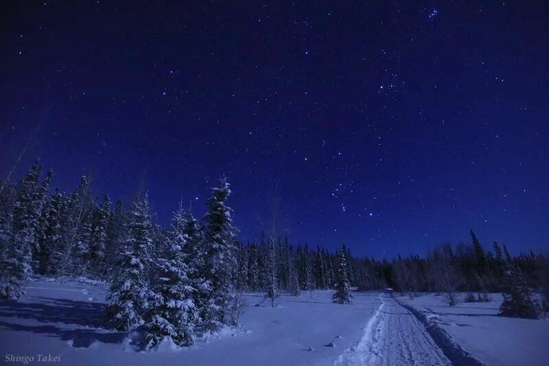 Снежный месяц