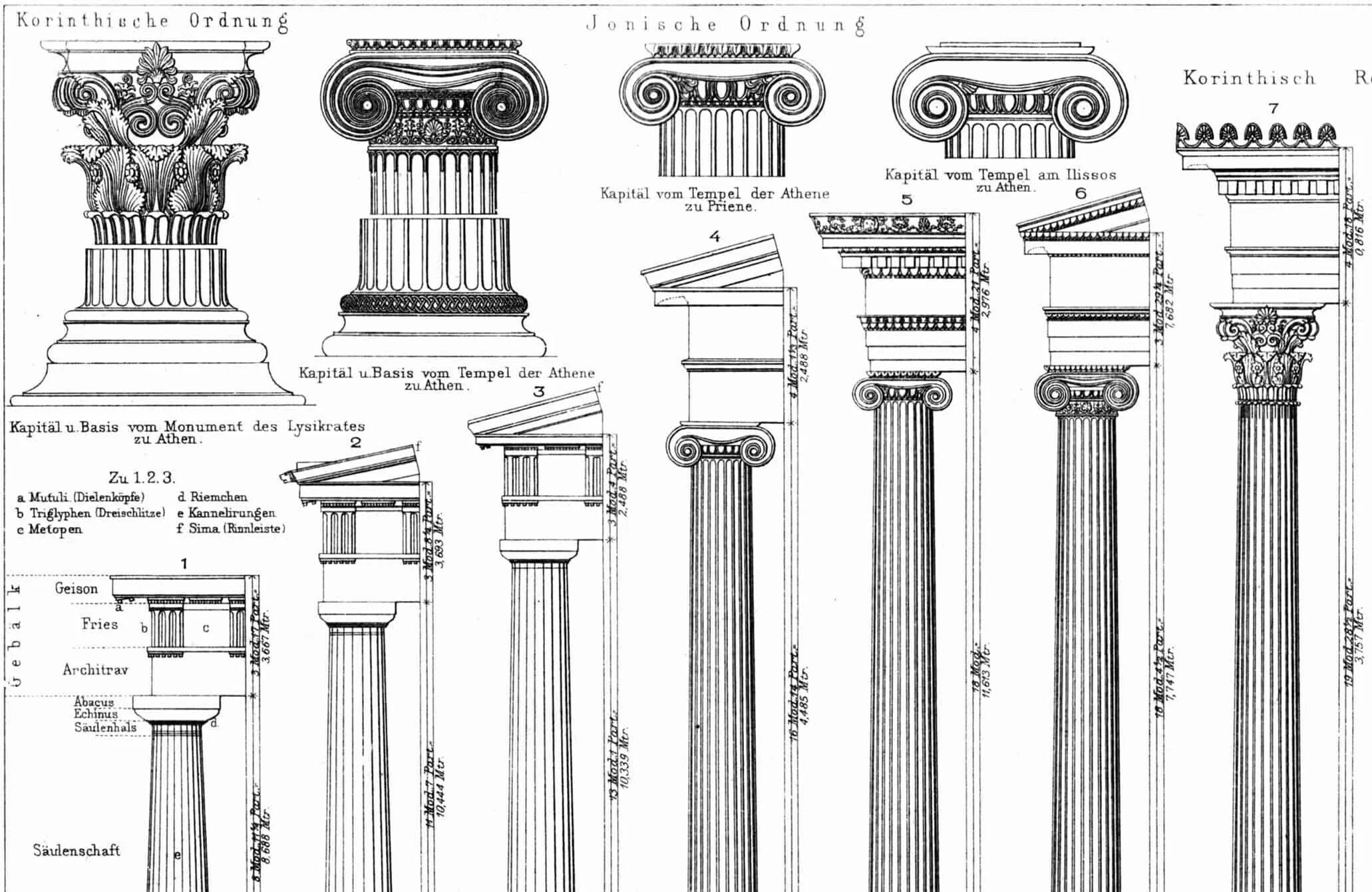 Цифры ордера. Дорический ионический и Коринфский ордера. Дорический ордер древней Греции. Греческие ордера дорический ионический Коринфский. Дорический ордер в архитектуре.