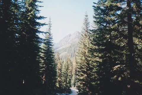 Nature 90