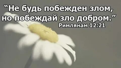 В чем есть победит