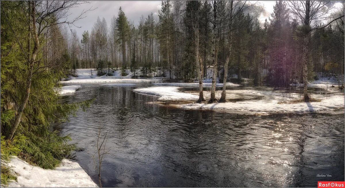шум весенних вод. а воды уж весной. уж весной. водяной уж и шахматная гадюка. уж весной.