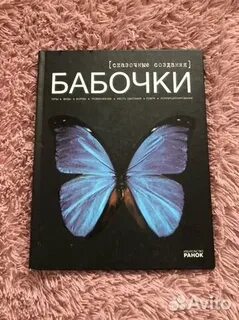 Бабочки учебник