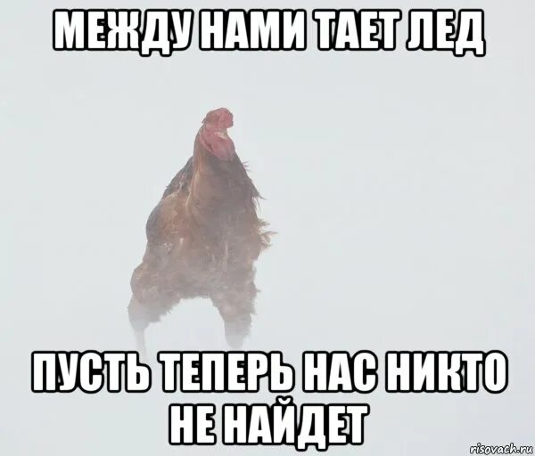 Между нами тает лед какого года. Между нами тает лед мем. грибы тает лед мемы. мемы про лёд. приколы про тает лед.