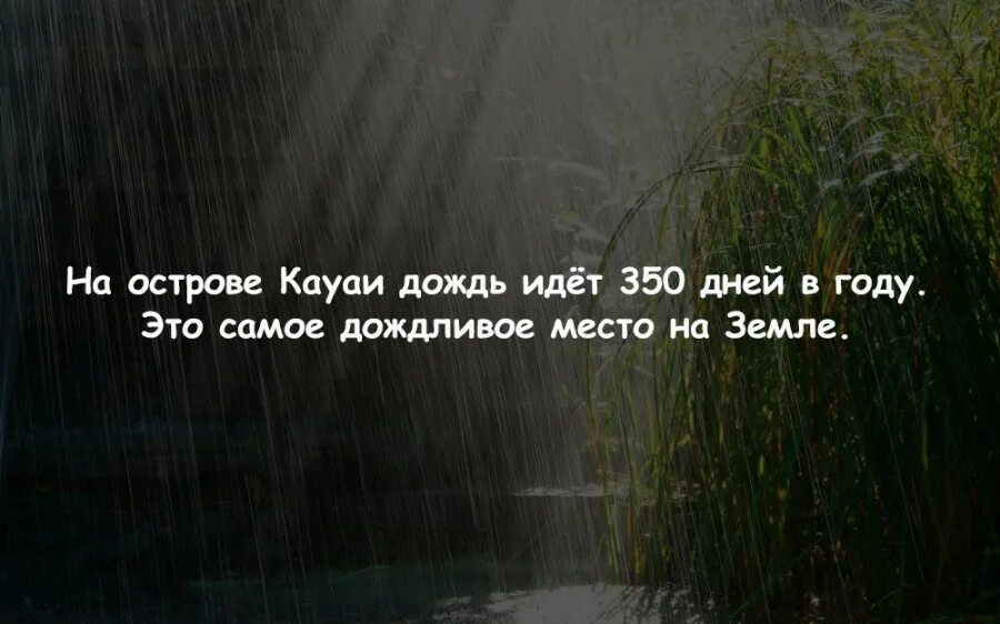 Предложения о дождике. Факты о Дожде. Интересные факты о Дожде. Удивительные факты о Дожде. Факты о Дожде для детей.