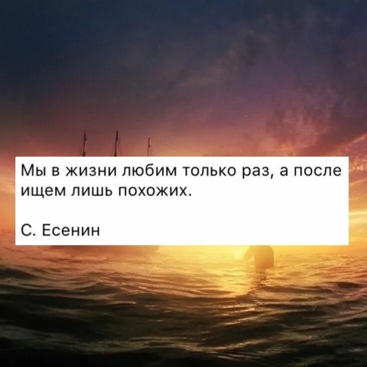 Влюбиться можно в красоту но полюбить лишь. Цитаты любят один раз. Полюбить можно только один раз в жизни. Живём один раз цитаты.