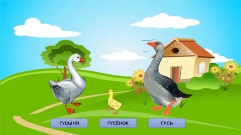 Слово гусенок