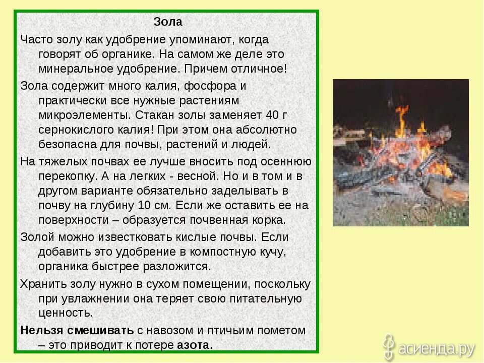 Как часто можно вносить. Что содержит зола. Что содержит древесная зола. Минеральный состав золы. Зола какие микроэлементы содержит.