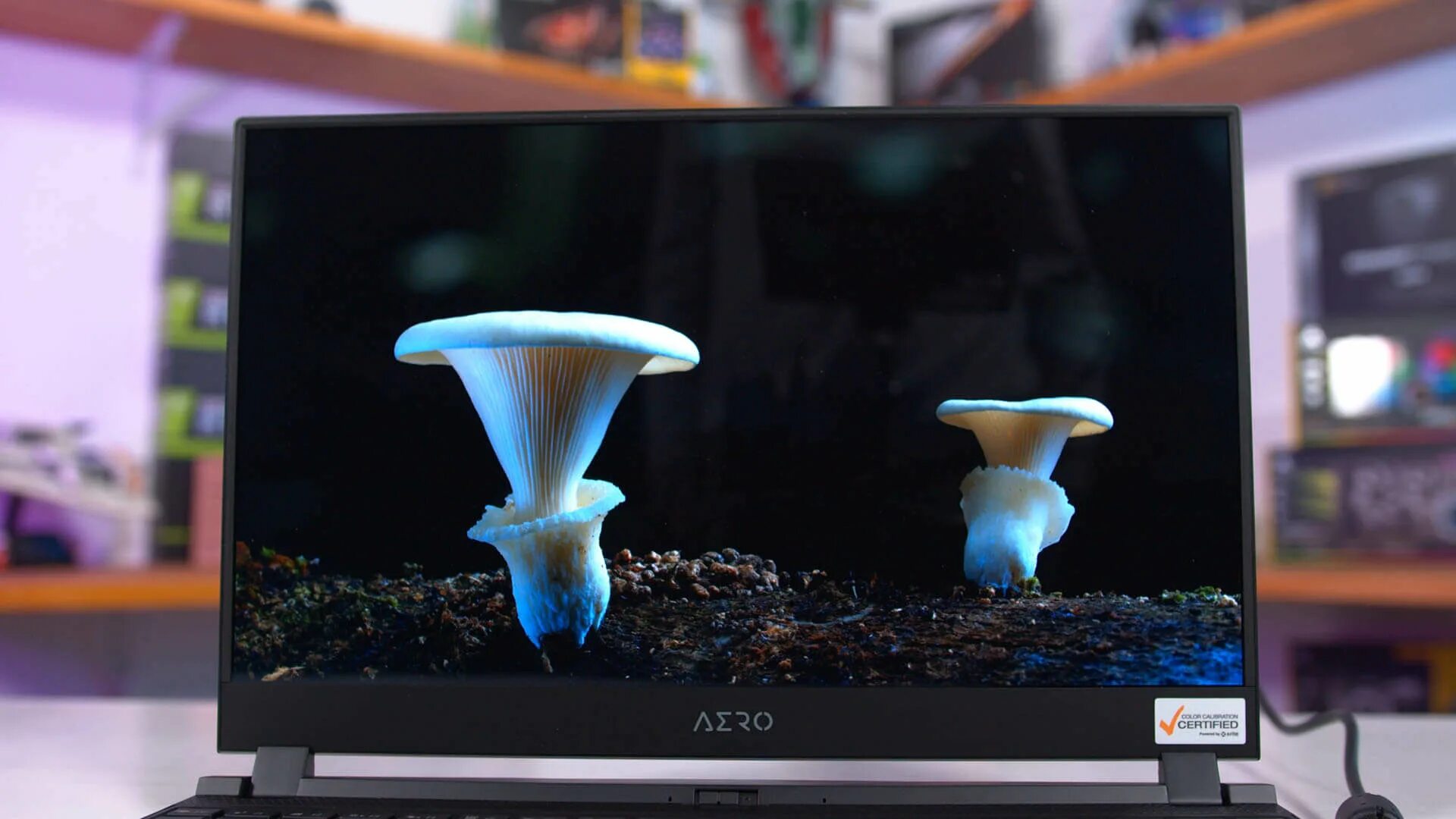 Oled или ips монитор. Amoled монитор. прозрачный oled дисплей. oled монитор. oled дисплей большой.