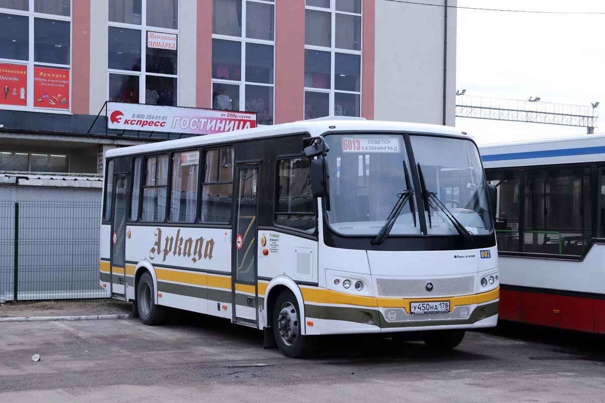 Калининград советск автобус купить. ПАЗ-320412-05 вектор. ПАЗ-320412-05 "вектор" (CR). ПАЗ 320412-05. ПАЗ 320412 вектор.