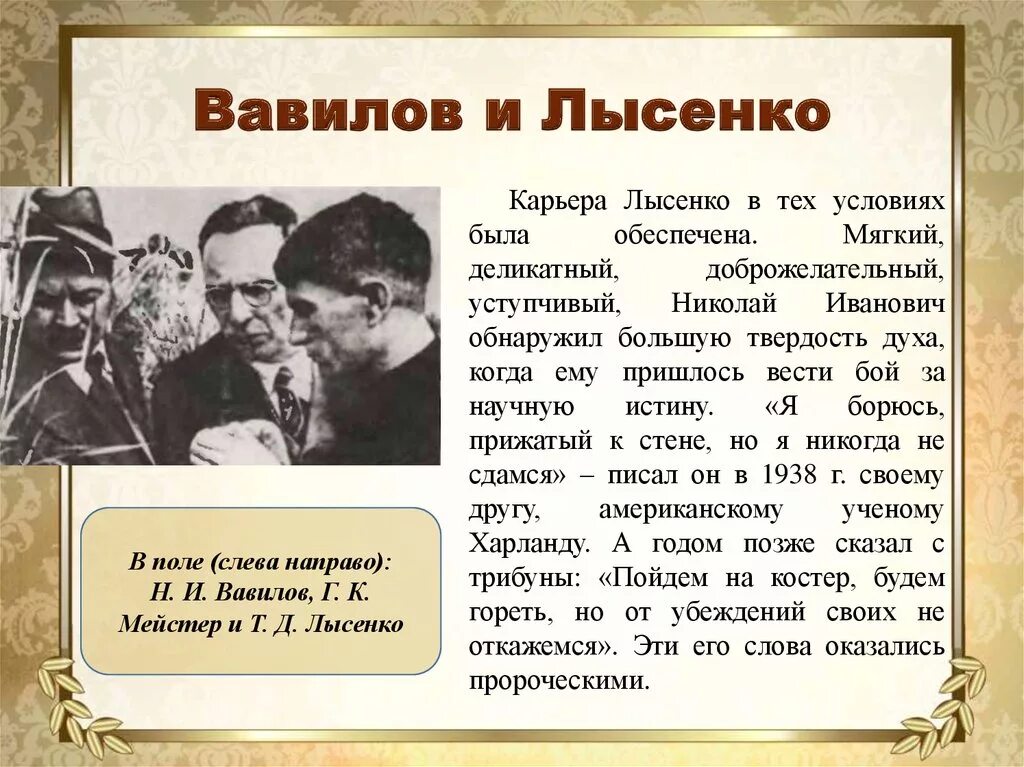 Эксперименты лысенко. Конфликт вавилова и лысенко. вавилов и лысенко кратко. вавилов и лысенко конфликт кратко.
